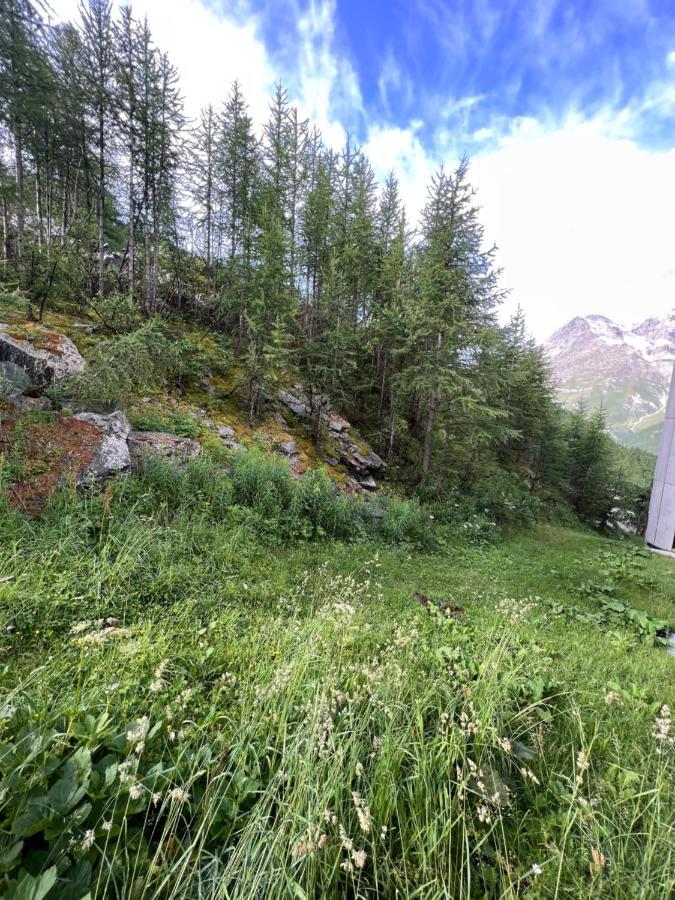 Casa Cervinia Shuss 2 Διαμέρισμα Breuil-Cervinia Εξωτερικό φωτογραφία